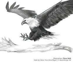Kinderbuchillustration - ein Adler im Anflug